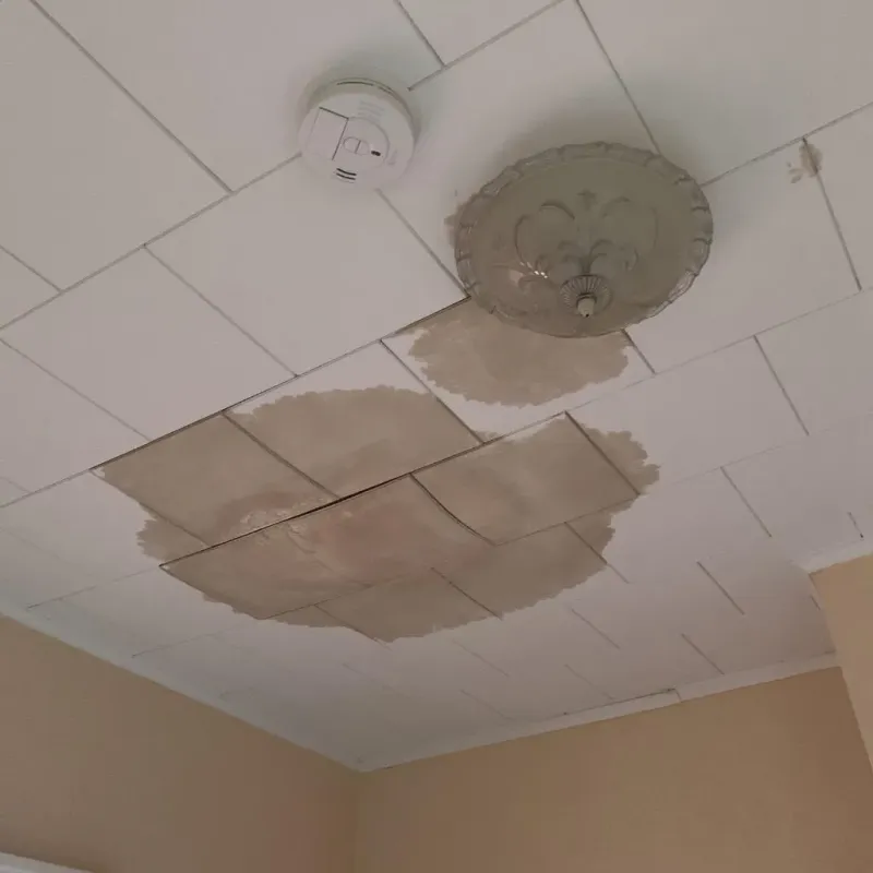 Ceiling Water Damage Repair in Mount Oliver, PA