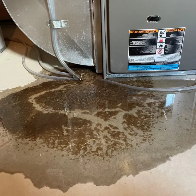 Pipe Burst and Leak Restoration in Mount Oliver, PA