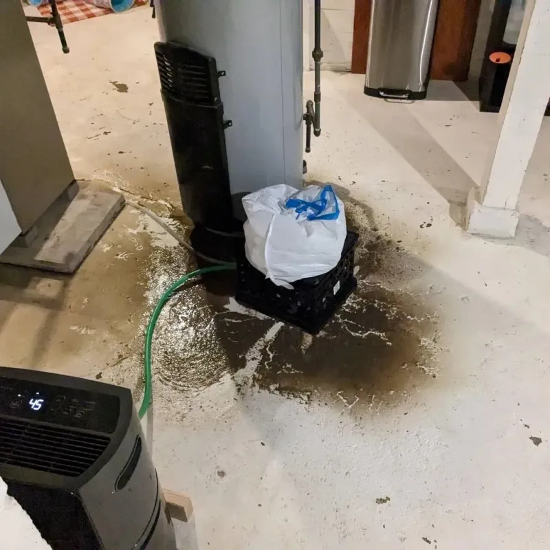 Sewage Backup Cleanup Service in Mount Oliver, PA